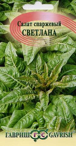 Спаржевый салат уйсун: нюансы выращивания и ухода