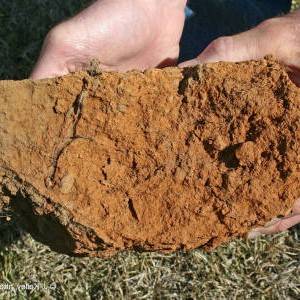 улучшение глинистой почвы