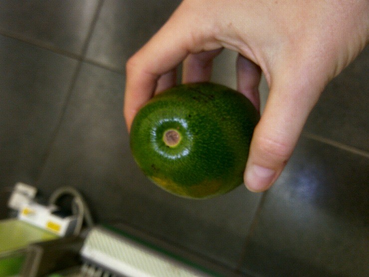 Популярный авокадо. Как правильно выбрать авокадо. Как выбрать спелый авокадо в магазине. Авокадо как выбрать спелый плод в магазине. Как выбрать авокадо правильно спелый в магазине.