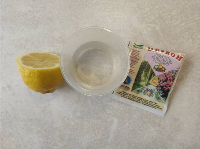 разведение Циркона с добавлением сока лимона