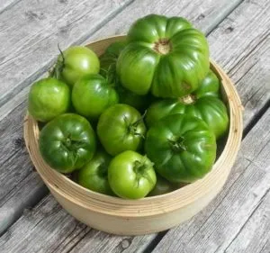 зеленые томаты 1 | zelenye tomaty 1 300x281