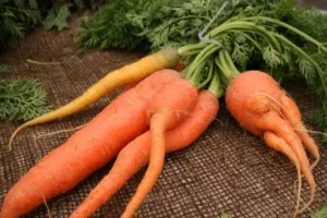 уродливая морковь