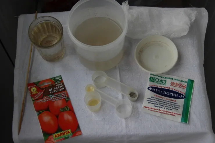 обработка семян томатов перед посевом на рассаду