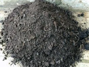 почва для рассады
