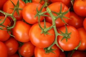 многолетние томаты