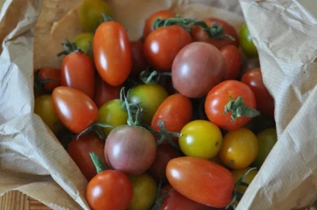 разноцветные черри томаты