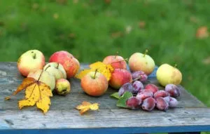 плоды осени