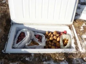хранение овощей зимой в морозилке