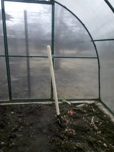 подготовка почвы в теплице для томатов