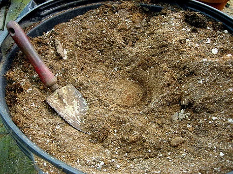 как подготовить почву для рассады