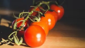 томаты черри на ветке