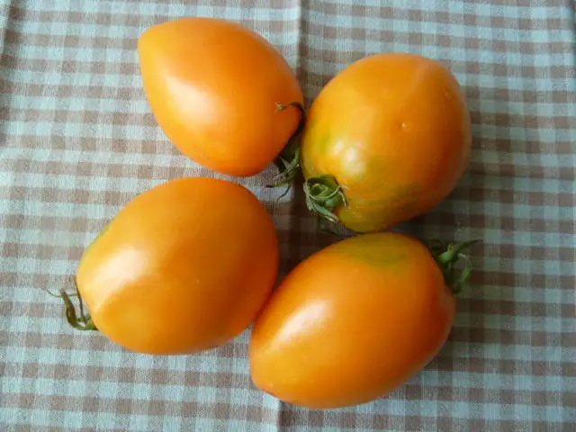 сорт томатов Золотой кенигсберг