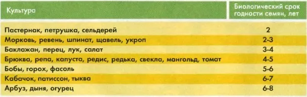 Сколько живет семечко: полезные таблицы и советы | skolko zhivet semechko 2