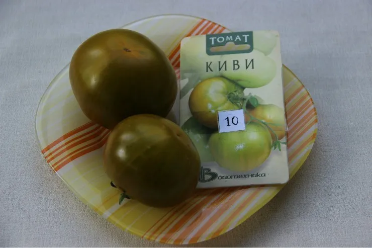 томат сорта Киви