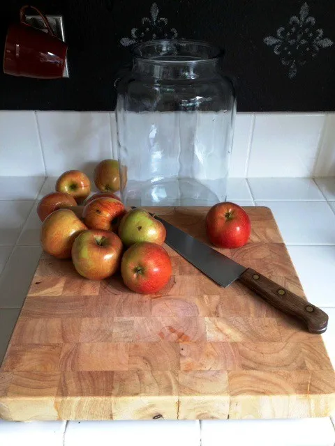 как приготовить яблочный уксус в домашних условиях 