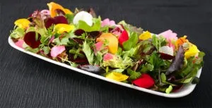 5 лучших съедобных цветов для вашей дачи | salat s tsvetami 300x153