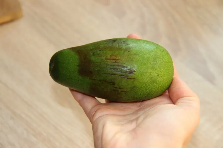 плод авокадо с повреждениями