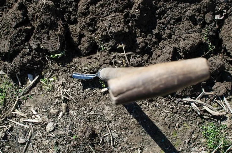 перекопка почвы как метод борьбы с ощелачиванием