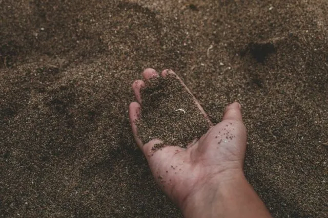 песчаная почва на участке
