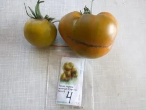 Сорт томатов Чероки зелёный