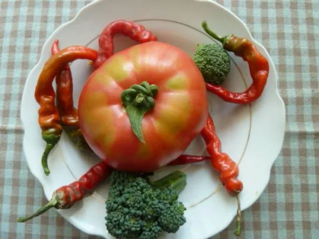 урожай овощей и томатов