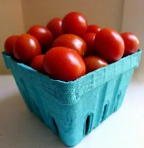 урожай томатов | urozhaj tomatov 293x300