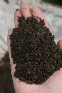 зрелый компост | zrelyj kompost 200x300