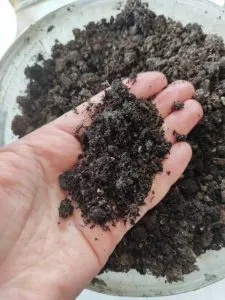 почва для рассады огурцов