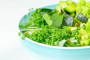 салат с микрозеленью брокколи
