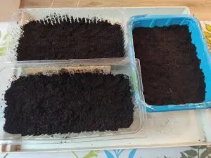 подготовка почвы для посева семян льна